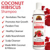 OKAY  Coconut Hibiscus Shampoo  For All Hair Types  Textures  Restore Rehydrate Strengthen Hair  With Almond Argan  Avocado Oil  Free of Parabens Silicones Sulfates  12. oz