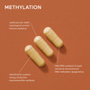 mindbodygreen methylation support+