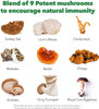 PlantFusion Vegan Complete Mushroom Blend 60 Vegan Capsules