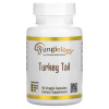 California Gold Nutrition Fungiology, Full-Spectrum Turkey Tail, 90 Plantcaps