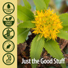 Natures Answer Rhodiola Root 1oz