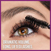 Maybelline the Falsies Lash Lift Washable Mascara Volumizing Lengthening Lifting Curling Multiplying Eye Makeup Blackest Black 0.32 Fl; Oz