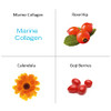 The Organic Pharmacy Age Renewal Rose Plus Marine Collagen Complex for All Skin Types 1.18 Ounce
