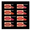 L.A. Colors 1 Velvet Plush Creamy Lip Color Lipgloss  CLC667 Teddy  Lip Gloss Paint Stick  Free Zipper Bag