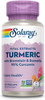Solaray - Guaranteed Potency Turmeric Root Extract, 200 mg | 60 Capsules