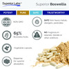 Superior Labs Boswellia Extract  Pure NonGMO Boswellic 65 Acids w/Bioperine Superior Absorption Zero Synthetic Additives  Powerful Formula Joint Knees Hips Immune  500mg SVG 240 Veg