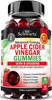 Apple Cider Vinegar Gummies for Weight Loss  ACV Gummies with The Mother for Women  Men  Energy Boost Bloat Digestive  Immune Support  Vitamin B12 B6 B 9 Folic Acid  Vegan Detox Cleanse 90Ct