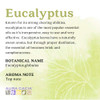 Aura Cacia 100 Pure Eucalyptus Essential Oil  GC/MS Tested for Purity  15 ml 0.5 fl. oz.  Eucalyptus globulus