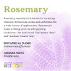Aura Cacia Rosemary Essential Oil GC/MS Tested for Purity 15ml 0.5 fl. oz.