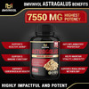 Astragalus Root Capsules 7550 mg  Supports Healthy Cardiovascular Immune Function  High Potency with Ginger Garlic Moringa Tulsi Arjuna  3 Months Supply