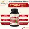 Berberine Supplement 4700mg  5 Months Supply  High Potency with Ceylon Cinnamon Turmeric  Supports Immune System Cardiovascular  Gastrointestinal Function  Berberine HCl Supplement Pills