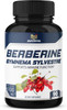 5in1 Berberine Supplement 6100mg with Ceylon Cinnamon Gymnema Sylvestre Bitter Melon  Black Pepper  Supports Immune Function Cardiovascular Heart 90 Count