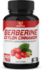 Berberine Supplement  17 in 1 Immune Support with Ceylon Cinnamon Quercetin Turmeric Milk Thistle Ginger  90 Capsules