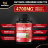 6 Packs Berberine Supplement 4700mg  12 Months Supply  High Potency with Ceylon Cinnamon Turmeric Curcumin  Cardiovascular Gastrointestinal Immune Support  Berberine HCl Supplement Pills