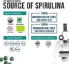 Organic Spirulina Powder 8 oz. Plus Organic Barley Grass Juice Powder 5.3 oz.