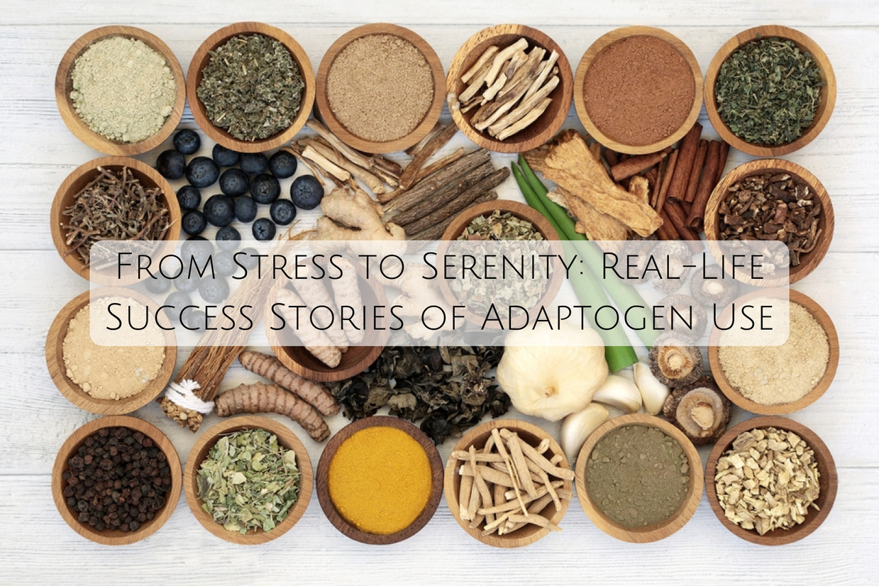 From Stress to Serenity: Real-Life Success Stories of Adaptogen Use From Stress to Serenity: Real-Life Success Stories of Adaptogen Use