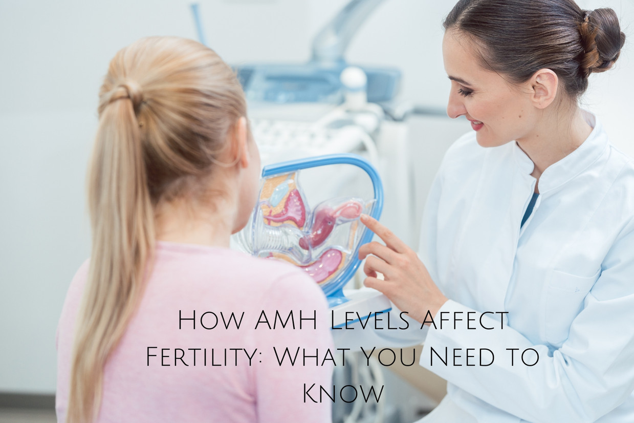 How AMH Levels Affect Fertility: What You Need to Know How AMH Levels Affect Fertility: What You Need to Know