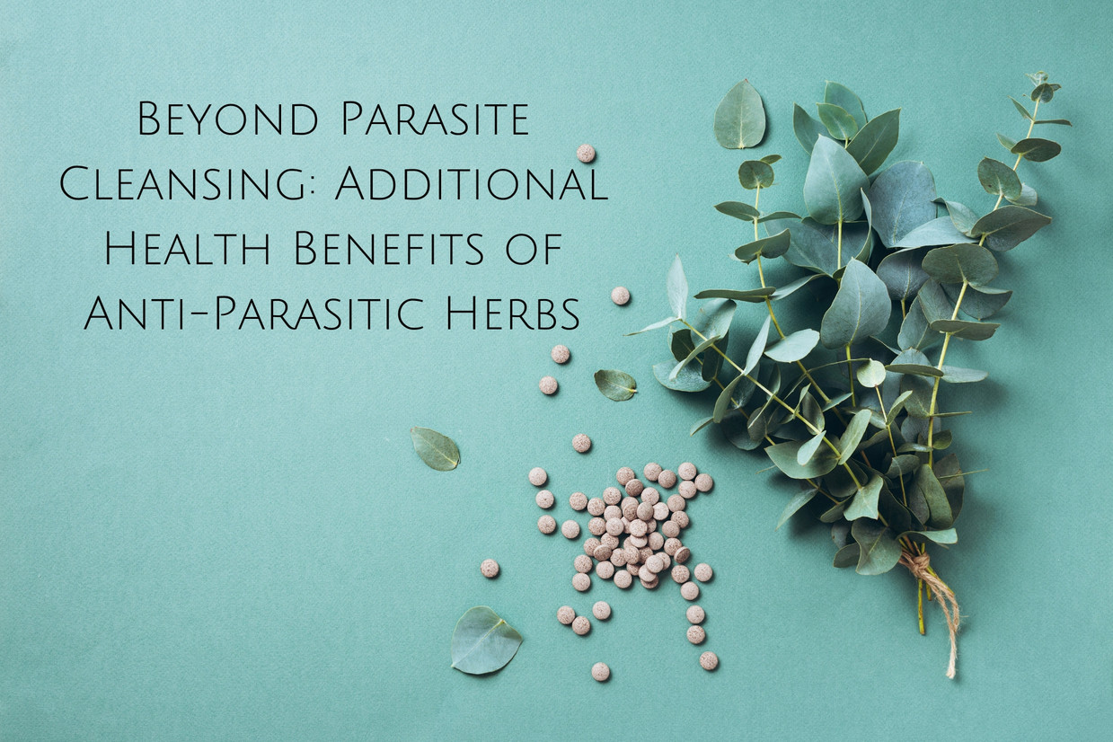 Beyond Parasite Cleansing: Additional Health  Benefits of Anti-Parasitic Herbs