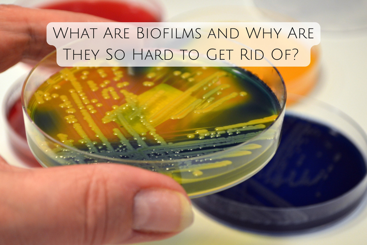What Are Biofilms and Why Are They So Hard to Get Rid Of?