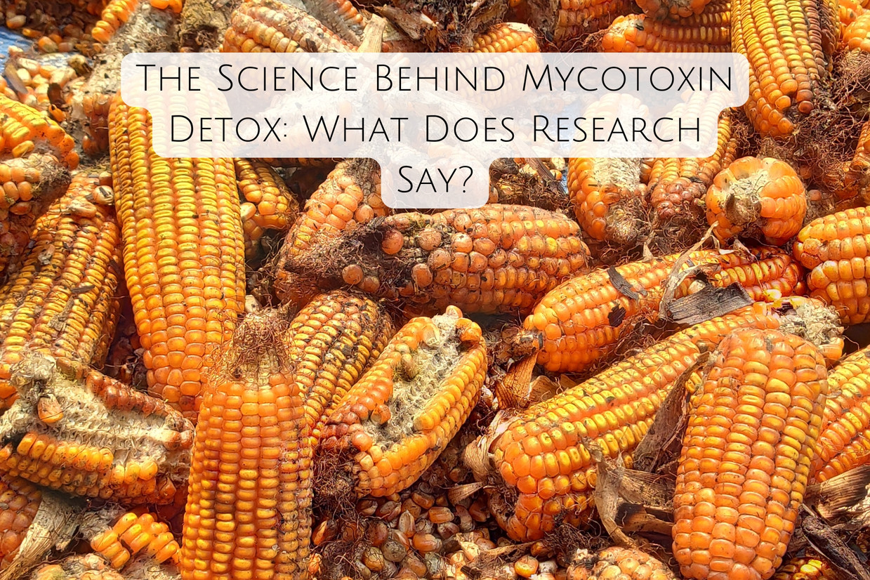 The Science Behind Mycotoxin Detox: What Does Research Say?