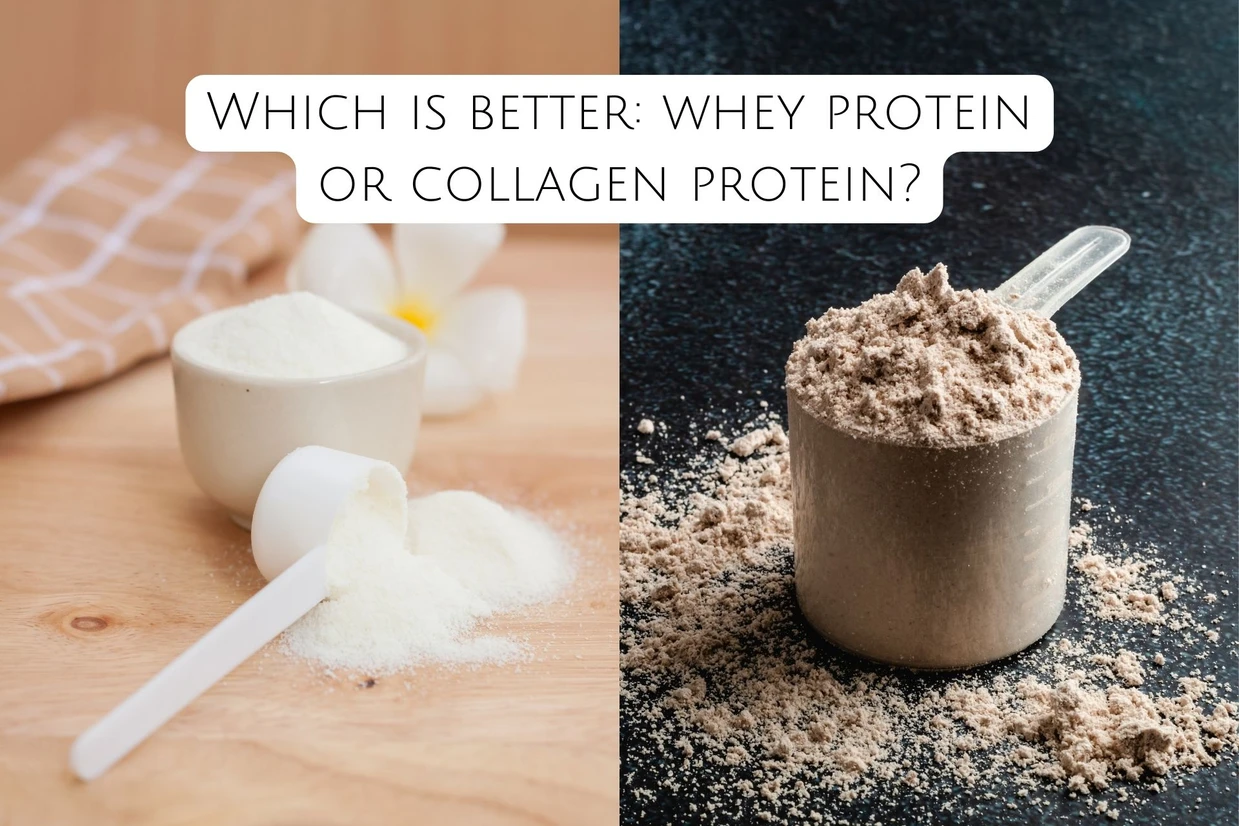 Which is better: whey protein or collagen protein?