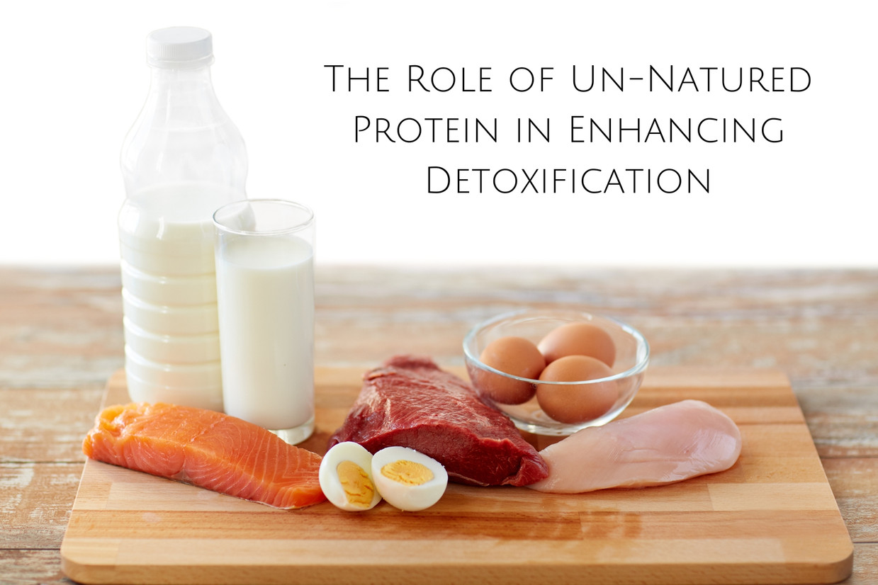 The Role of Un-Natured Protein in Enhancing Detoxification