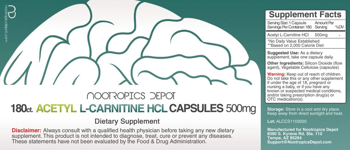 l carnitine for brain health Amazon.com: Vital Nutrients Acetyl L-Carnitine Powder | Brain, Memory, and  Cognitive Support Supplement - Vegan - Gluten, Dairy, Soy Free - Non-GMO