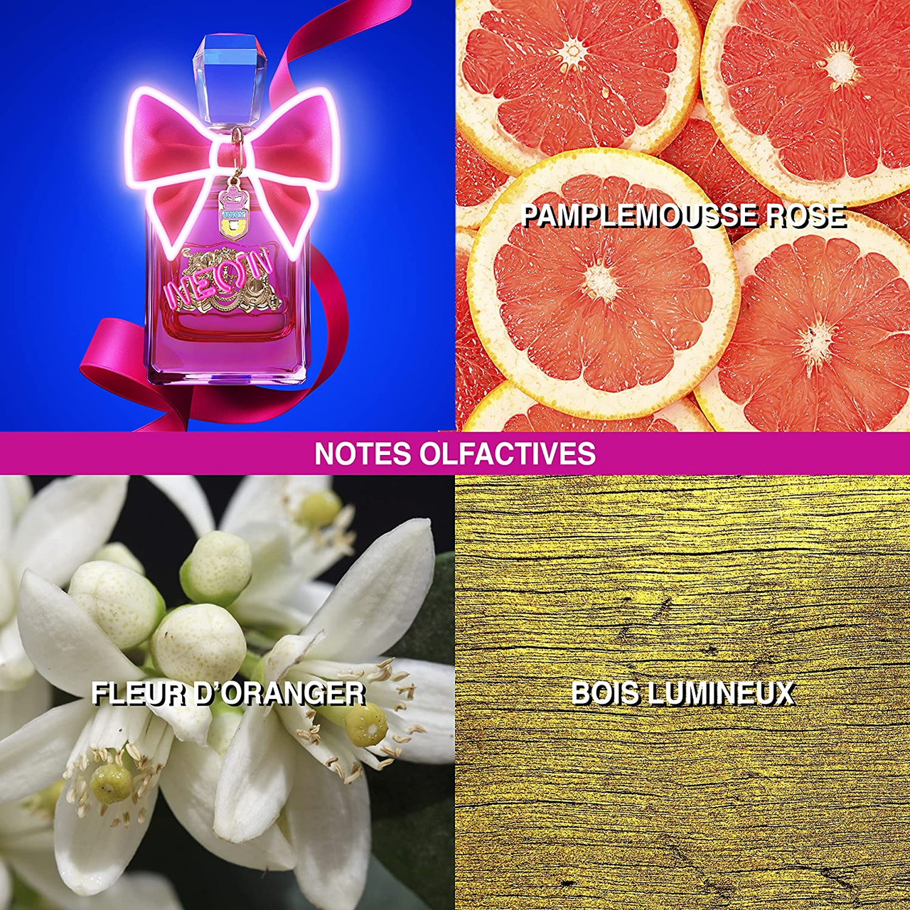 Viva la 2024 juicy perfume notes