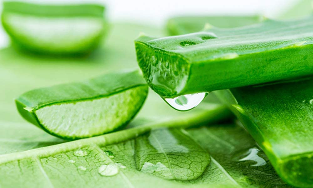 Holika Holika Aloe Soothing Skincare (Toner)