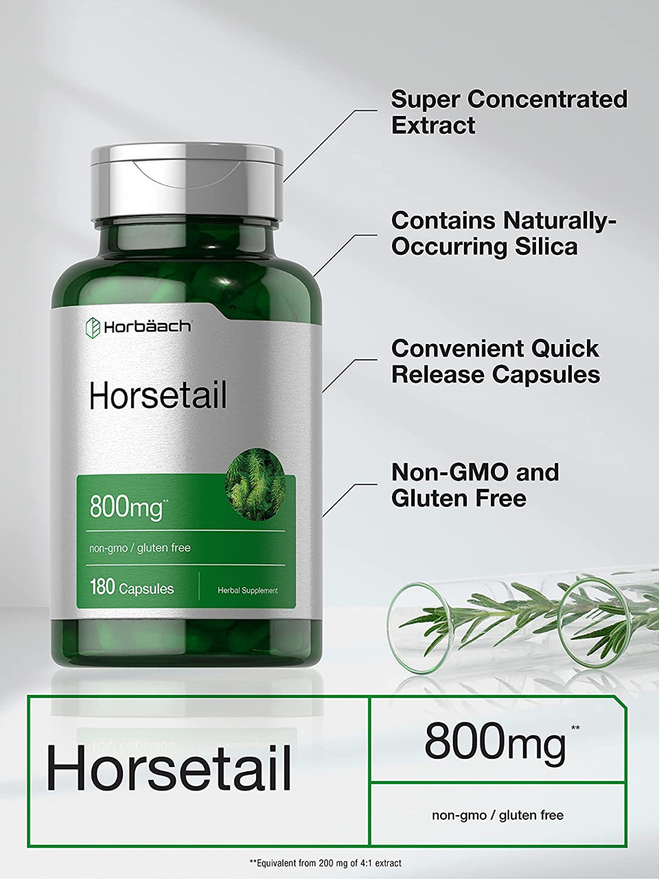 Horsetail Capsules 800mg 180 Count NonGMO, Gluten Free Herb