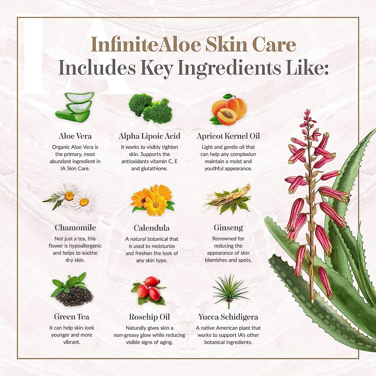 Infinitealoe Skin Care Moisturizer For The Face & Body - Fragrance Free -  (1) 8Oz + (2) 0.5