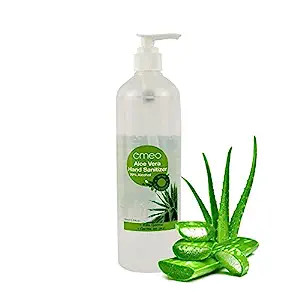Absolute Purifying Hand Gel with Refreshing Aloe Vera - Full-Sized,  Alcohol-Free Sanitizer Gel