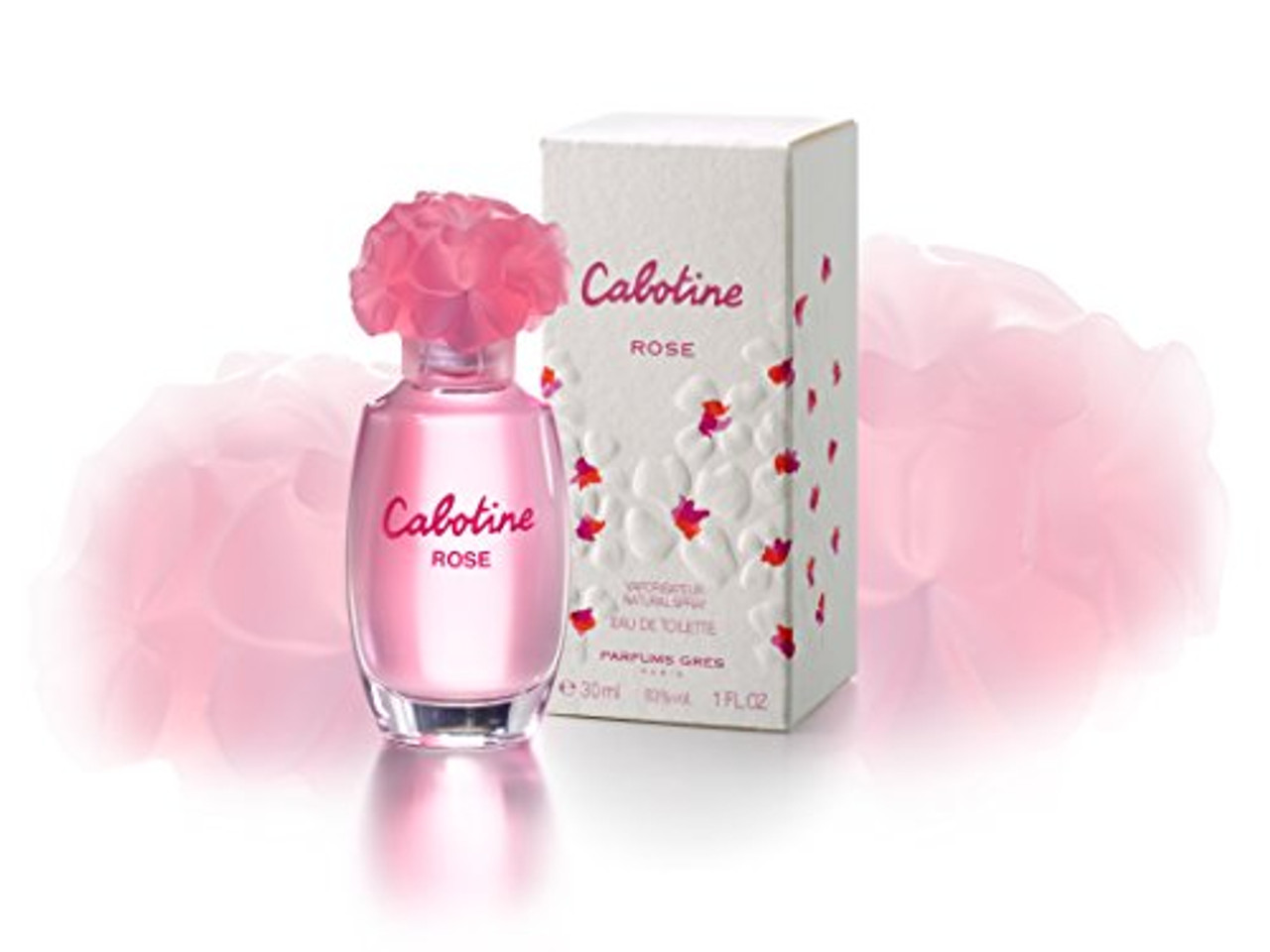 Cabotine rose 2025