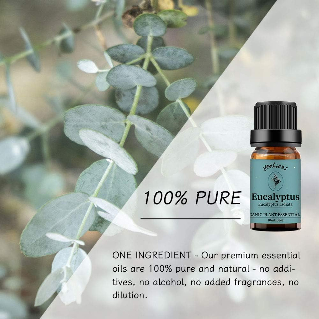 Lavender + Eucalyptus Essential Oil Aromatherapy Oil, 100% Pure