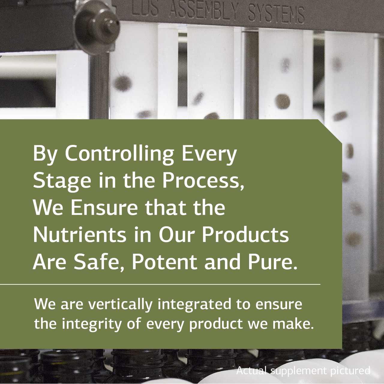 Standard Process Allerplex - Lung Health Support Supplement - Dietary ...