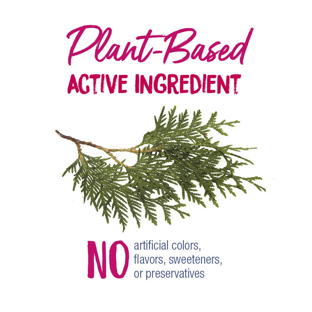 Boiron Thuja Occidentalis 30C Wart Removal Homeopathic Medicine for  Painless Removal of Warts from Plantar (Feet),