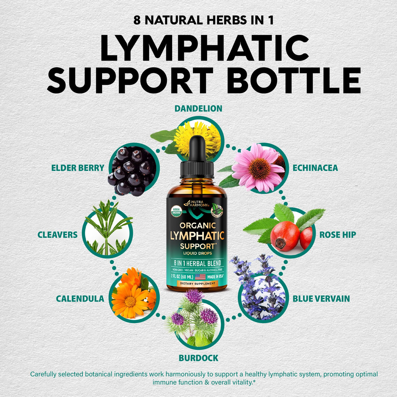 thumbnail image 2 of KENOFOR Herbal Lymph System Support Supplement - 1230mg Capsules With Bromelain & Dandelion - 30/60/120 Count 2 of 6