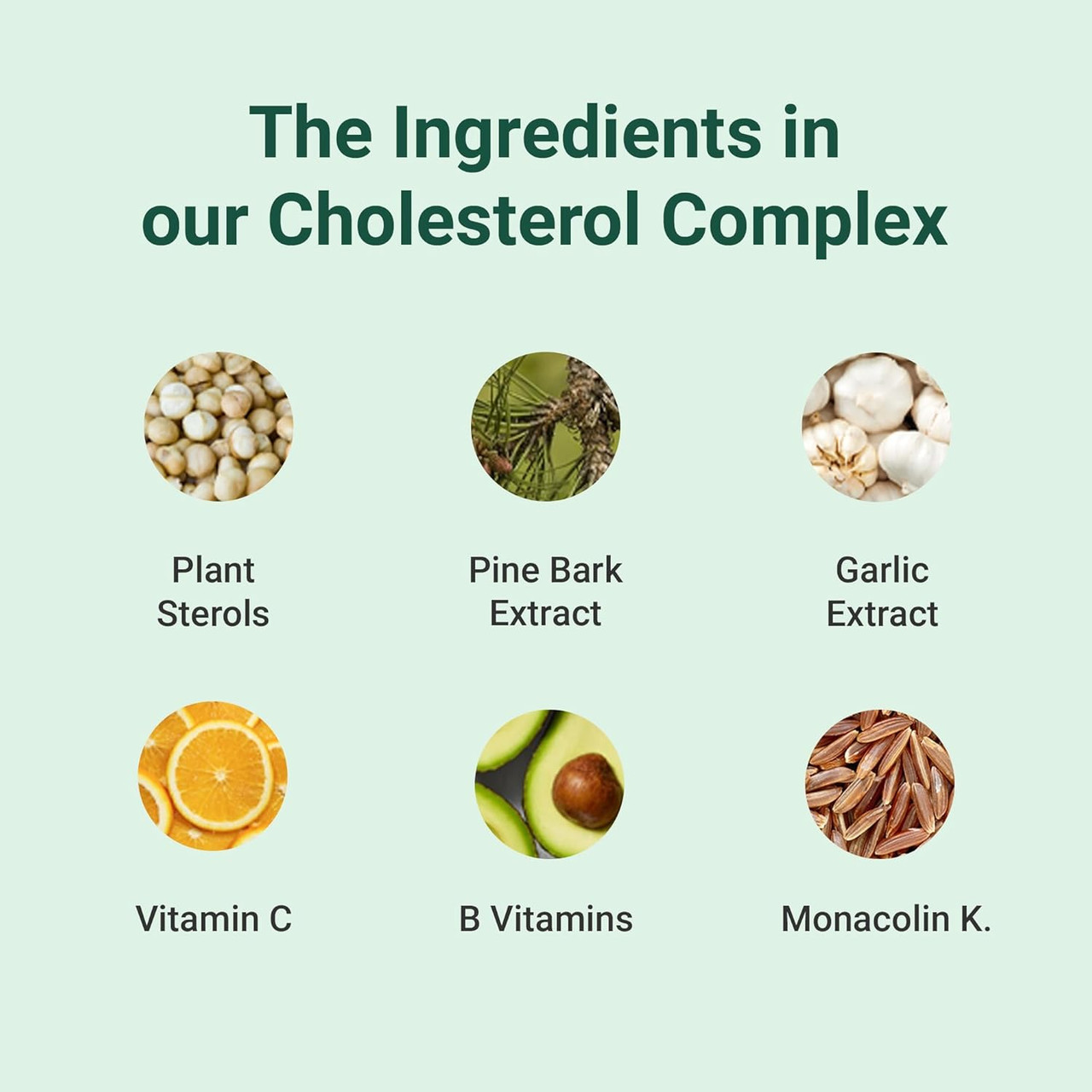 Hey Nutrition Cholesterol Complex Supplement - with Plant Sterols & Pine  Bark Extract - Advanced Cholesterol Support - 90