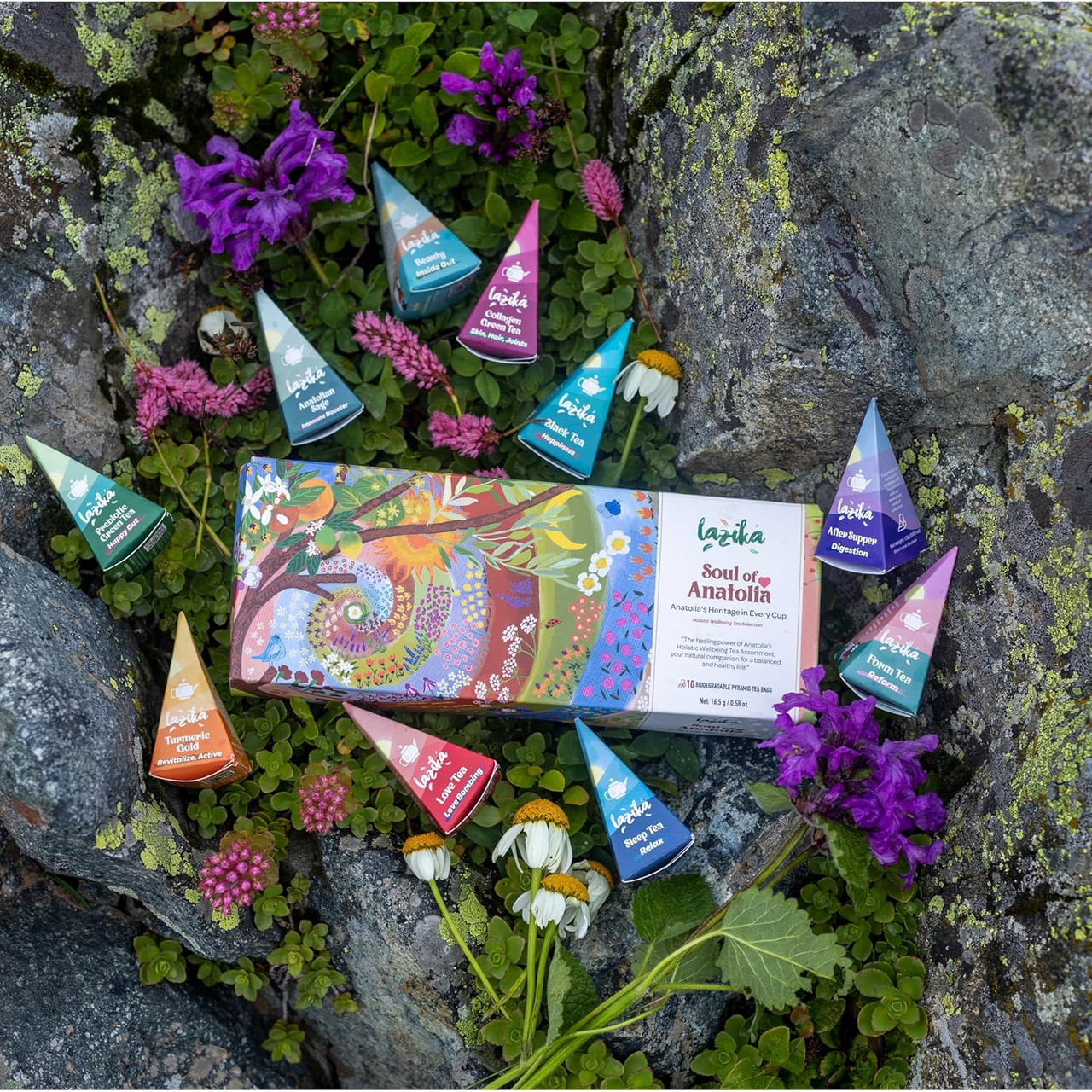 Lazi̇ka Lazika Herbal Tea Variety Pack Holistic Wellbeing Tea
