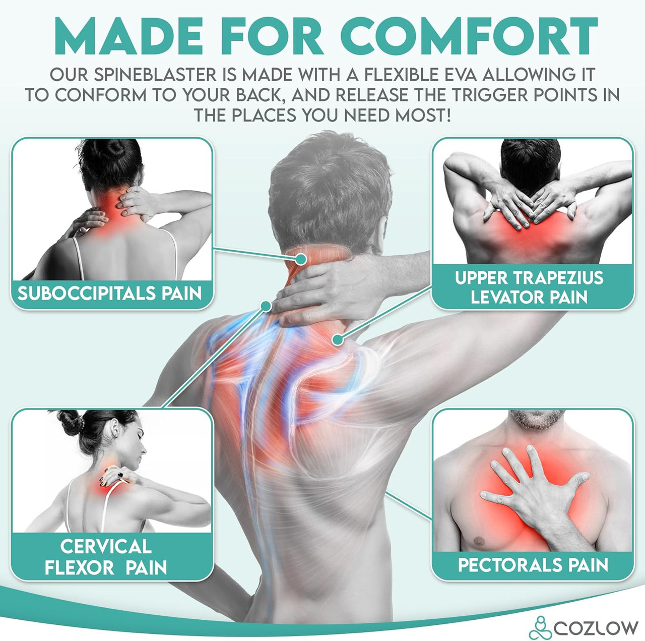 Upper Back Exercises That Work Your Trapezius Traps Muscle