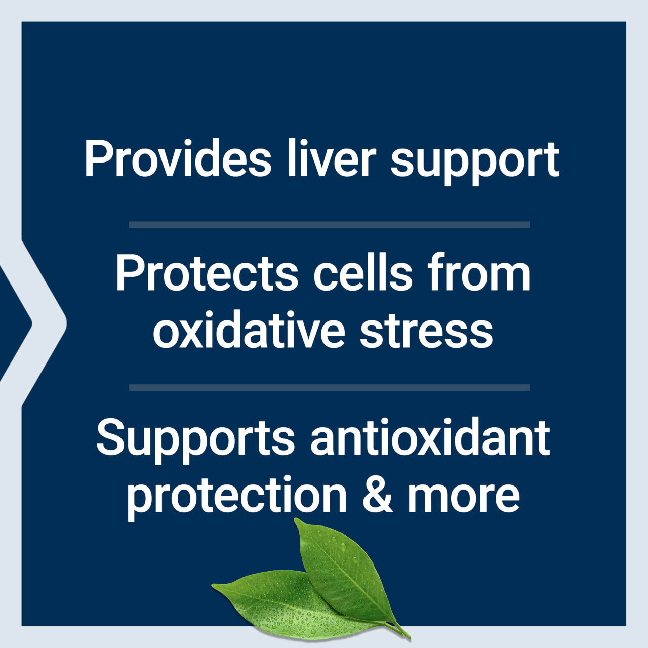 Life Extension Glutathione Cysteine & C Of Vitamin C Po | Buy at Kiwla