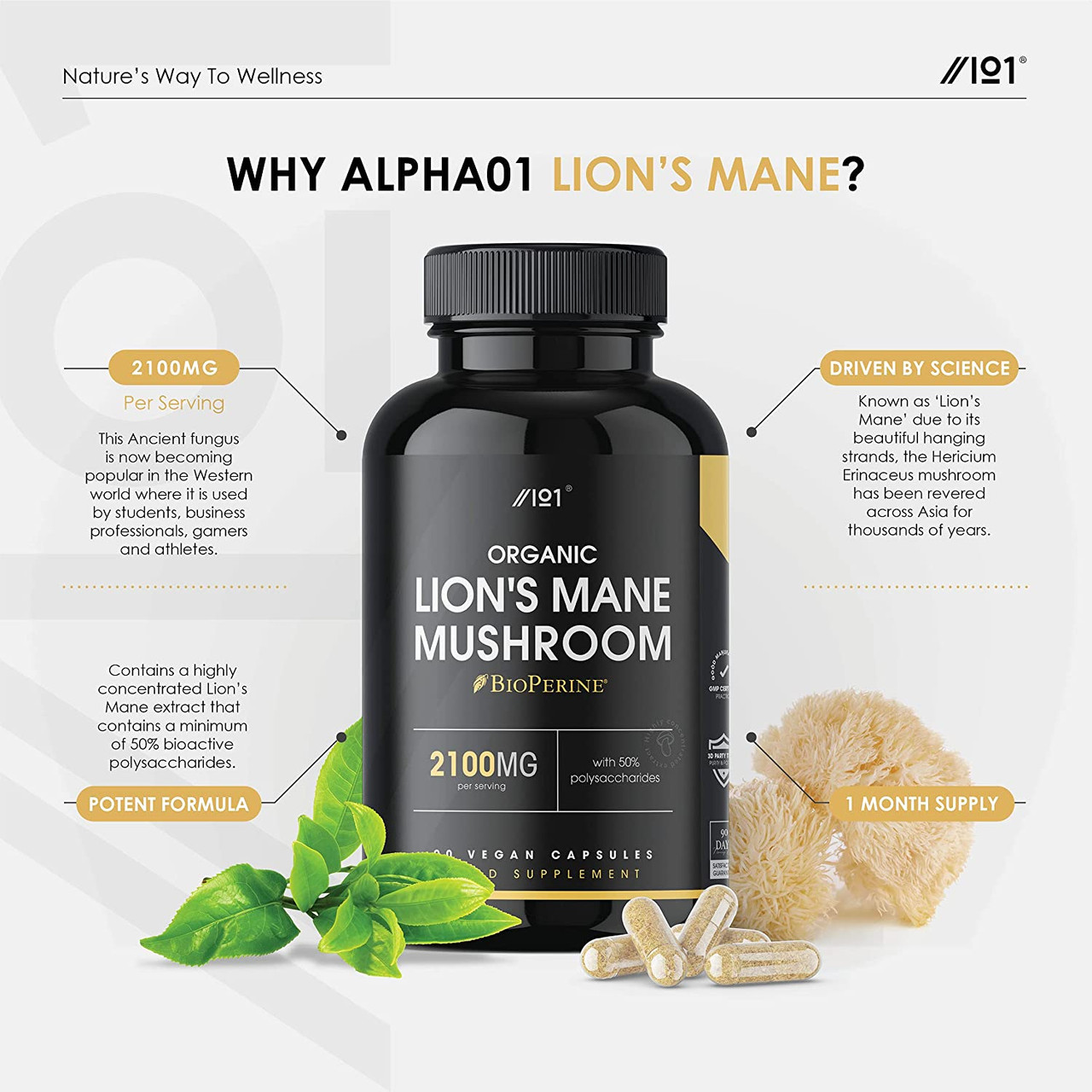 Complément Yango Hericium - Extrait 10% Polysaccharides, 90 Capsules, Soutien Immunitaire Naturel