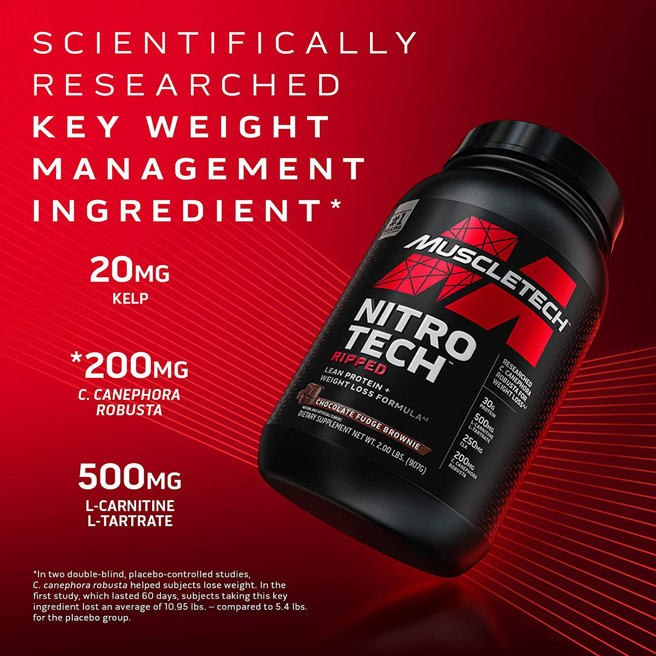 muscletech l carnitine powder L-Carnitine BulkSupplements L-Carnitine L-Tartrate Powder :