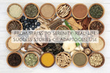 From Stress to Serenity: Real-Life Success Stories of Adaptogen Use