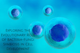 Exploring the Evolutionary Role of Bacteria-Fungi Symbiosis in Cell Development