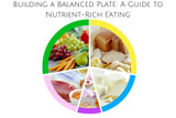 Building a Balanced Plate: A Guide to Nutrient-Rich Eating