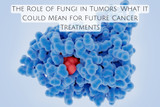 The Role of Fungi in Tumors: What It Could Mean for Future Cancer Treatments