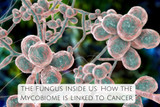 The Fungus Inside Us: How the Mycobiome is Linked to Cancer