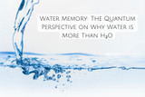 Water Memory: The Quantum Perspective on Why Water is More Than H₂O