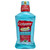 Colgate Total Gum Health Antiplaque Mouthwash, Clean Mint 16.90 oz Colgate Total Gum Health Antiplaque Mouthwash, Clean Mint 16.90 oz